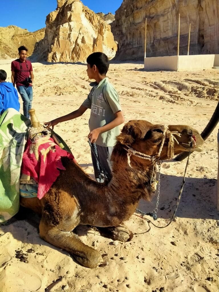 Safari Dahab + The Lagoon By Boat