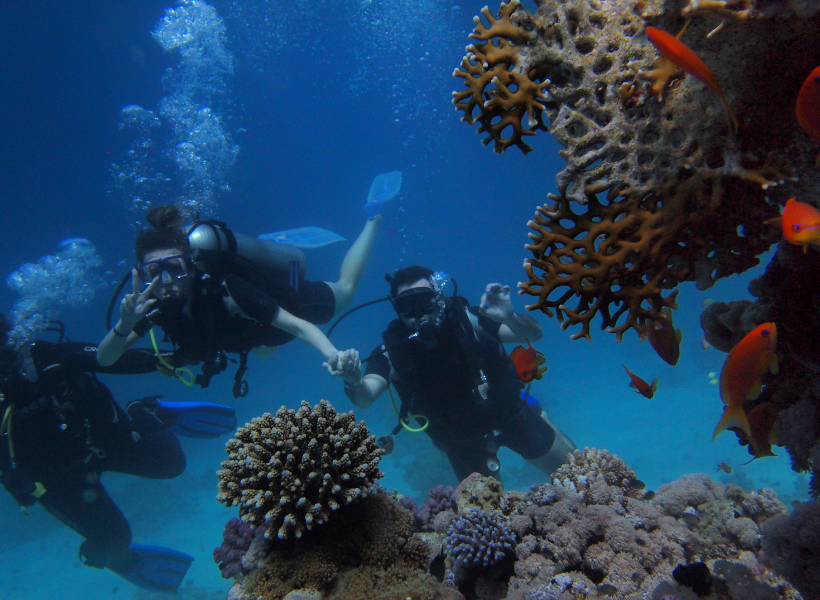 Diving From A Boat