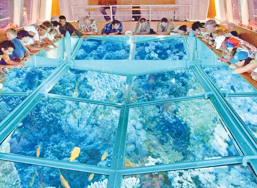 Glass Bottom Boat