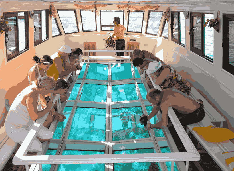 GLASS BOTTOM BOAT