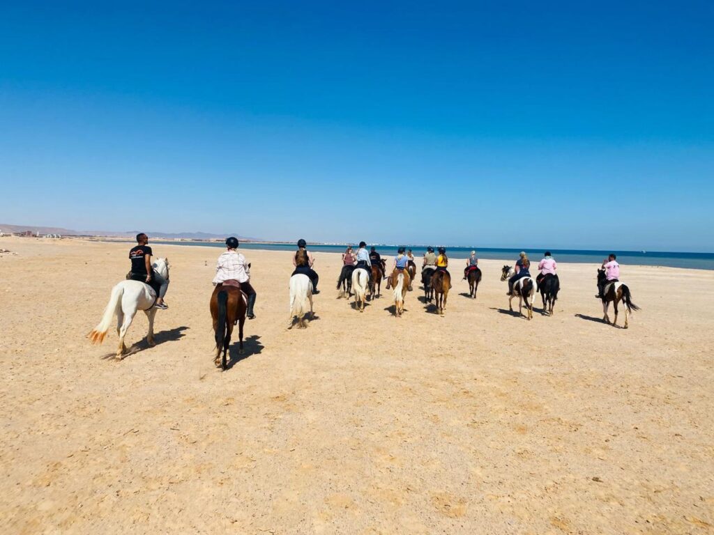 HORSE RIDE ON THE BEACH