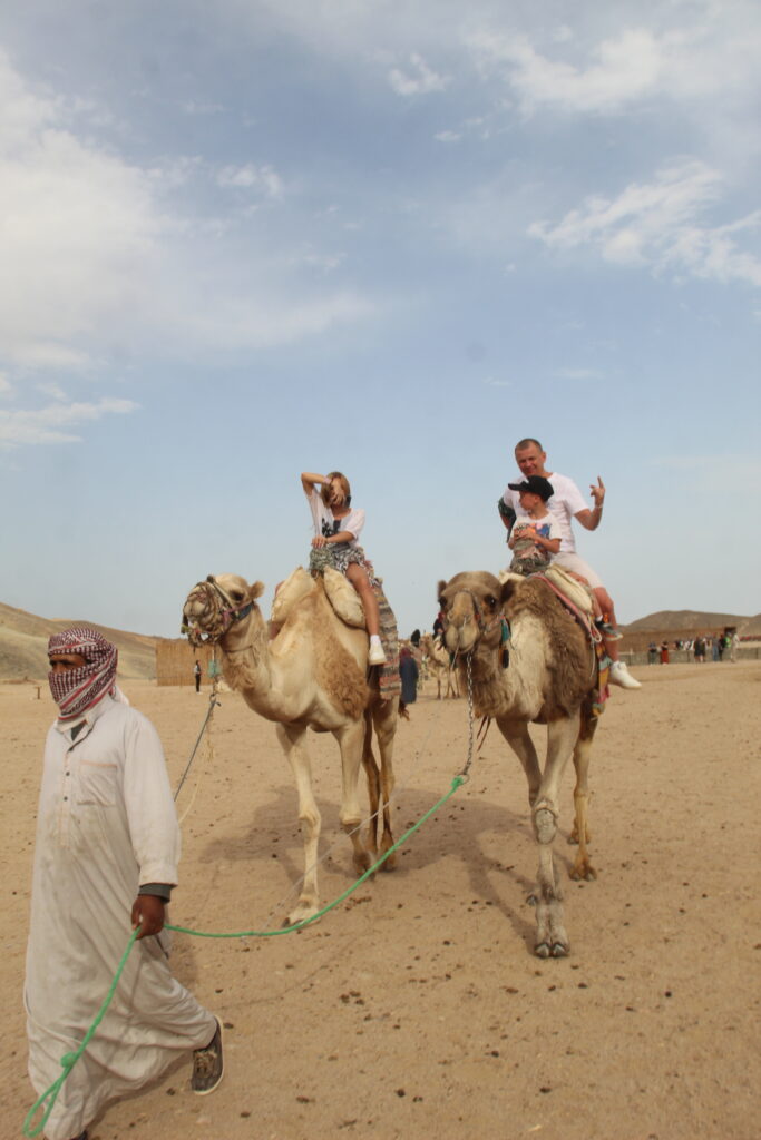 Safari Camel Ride