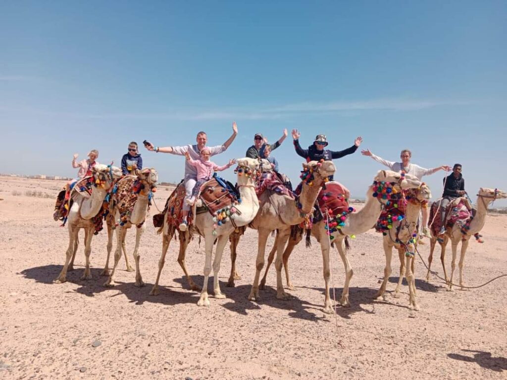 Safari Camel Ride