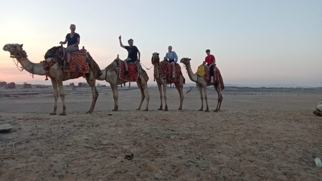 Safari Camel Ride