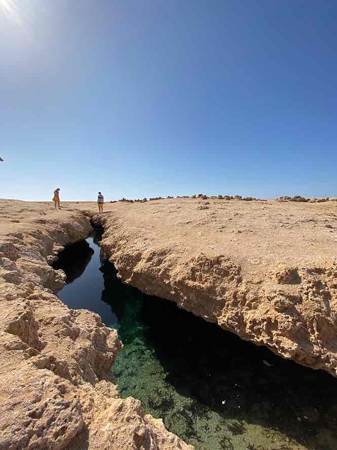 RAS MOHAMMED NATIONAL PARK BY BUS + SNORKELING