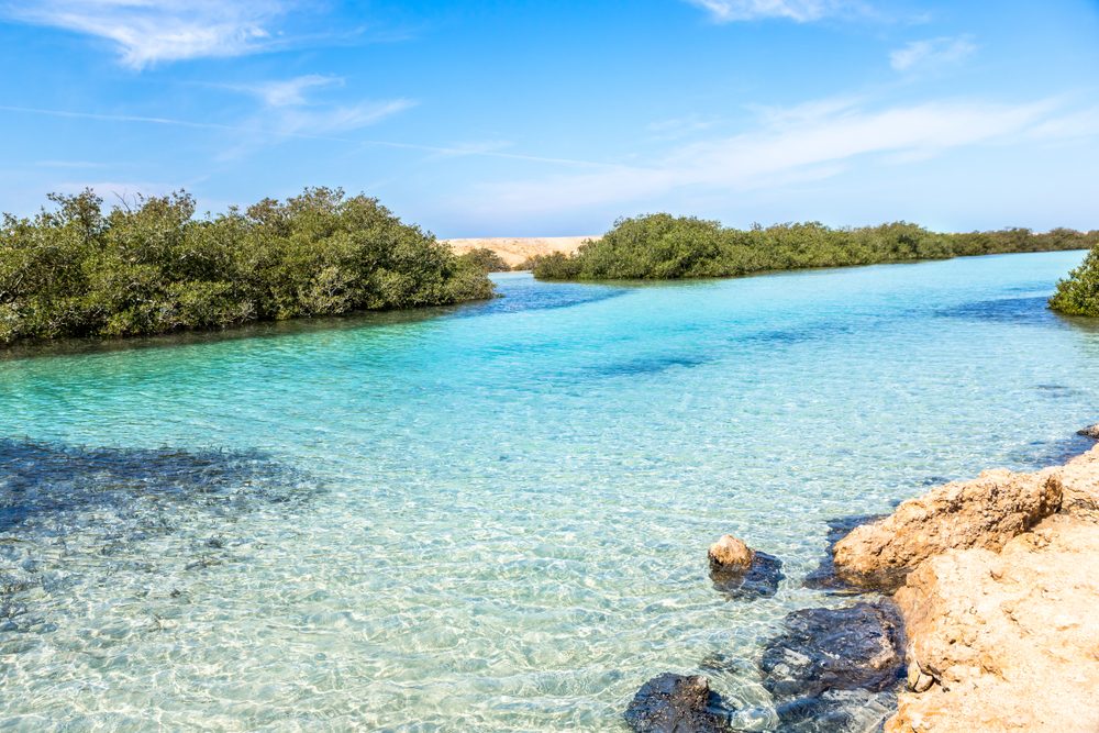 RAS MOHAMMED NATIONAL PARK BY BUS + SNORKELING