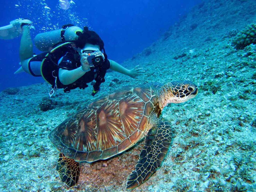 DIVING FROM THE SHORE