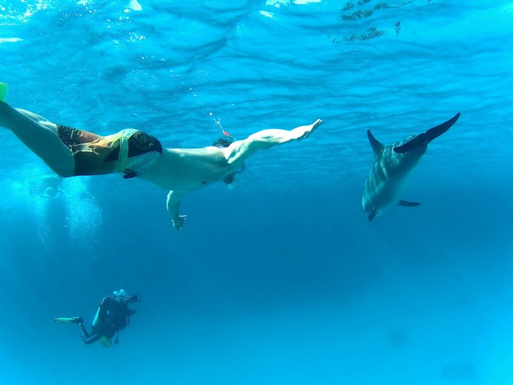 DOLPHIN HOUSE BY BOAT