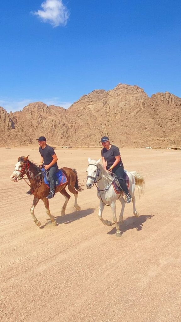 Horse Ride On The Beach