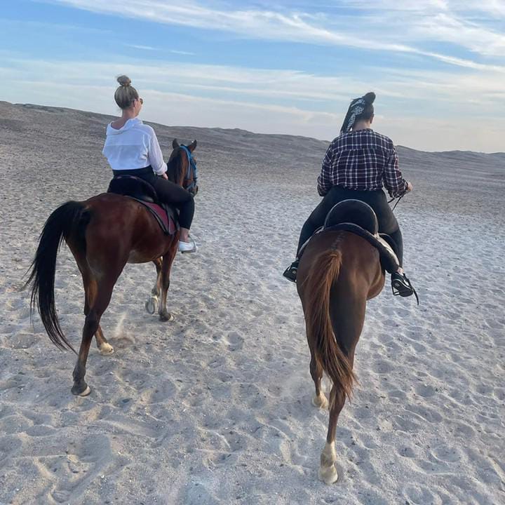 Horse Ride On The Beach