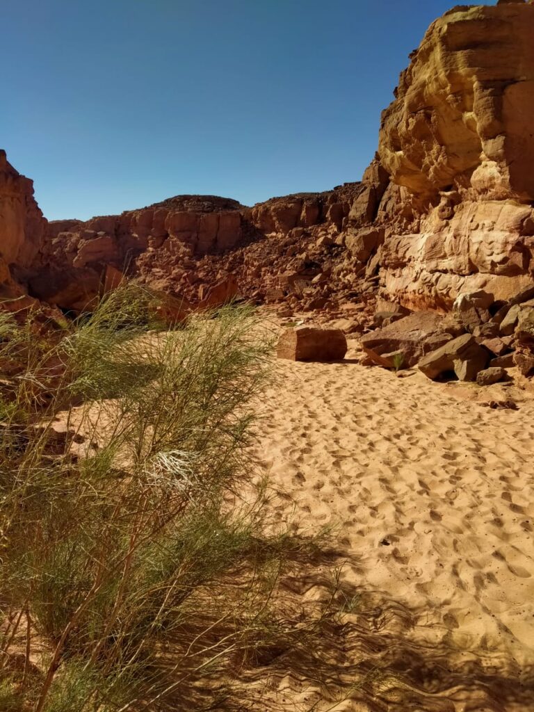 Safari Dahab + The Lagoon By Boat