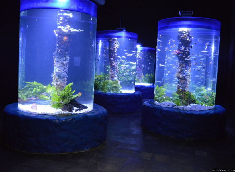 Grand Aquarium