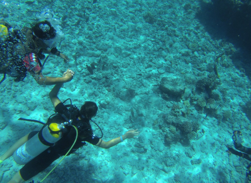 Diving From A Boat