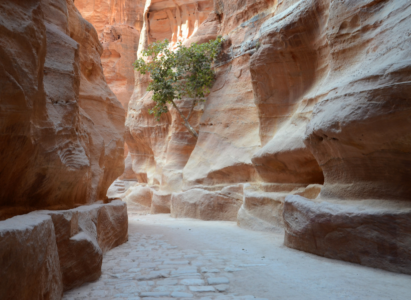 Petra - Jordan 1 Day By Bus