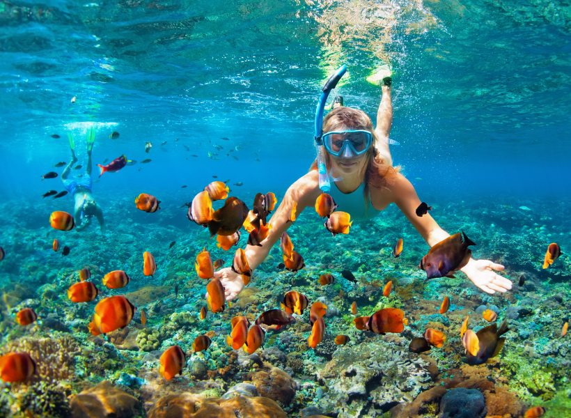 Ras Mohammed National Park By Bus + Snorkeling