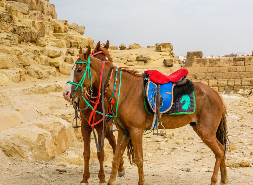 HORSE RIDING Sinbad Tour