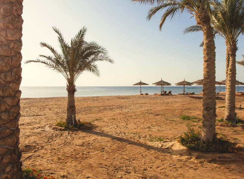 Sharm El Naga Reserve By Bus