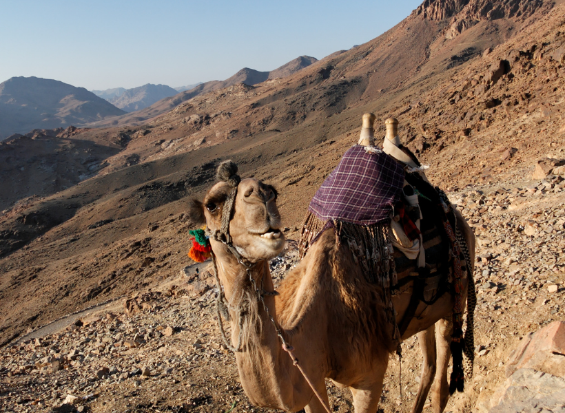 Mount Moses And Monastery St Catherine