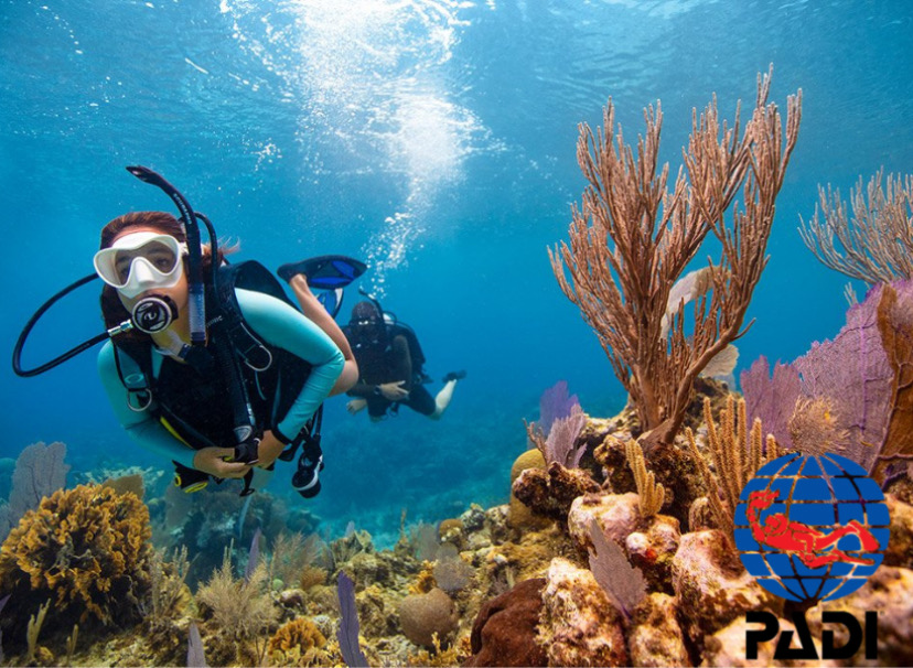 Professional Diving From Boat