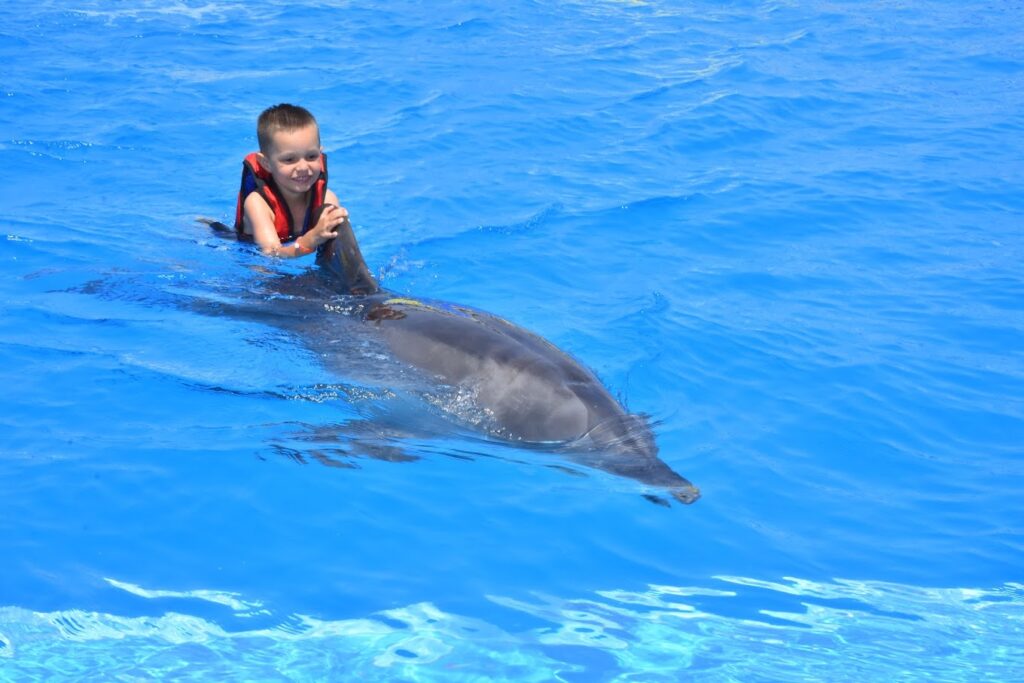 SWIMMING WITH DOLPHINS (5 min)