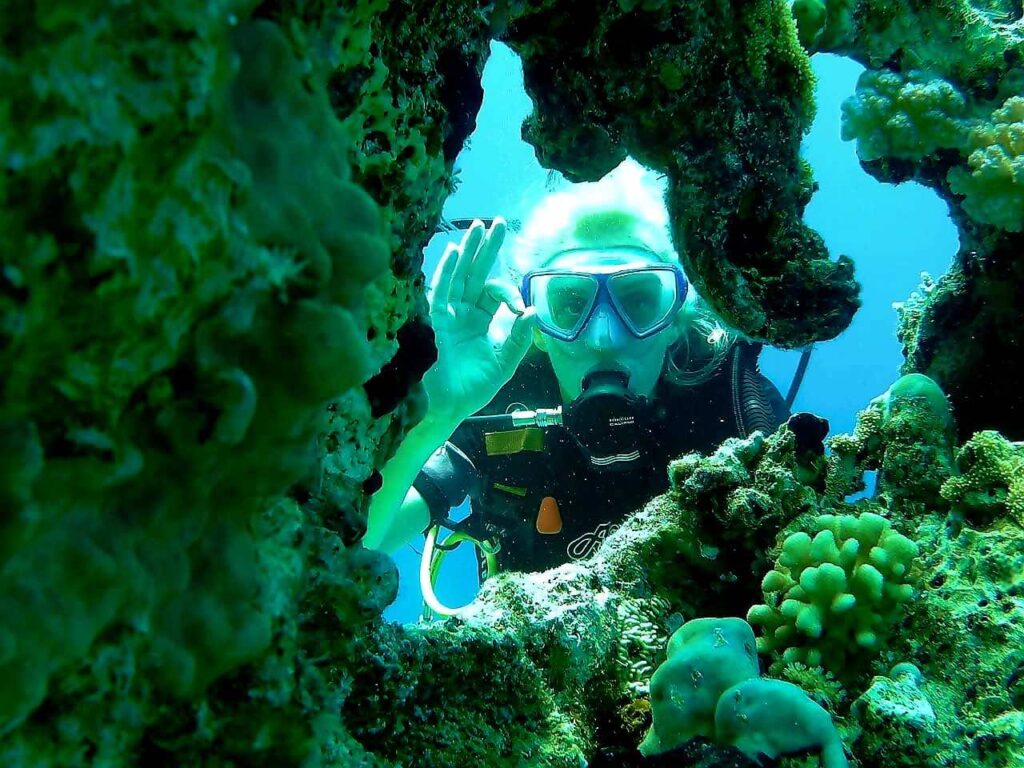 PROFESSIONAL DIVING FROM BOAT