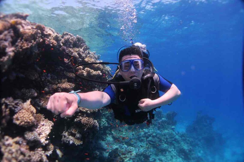 PROFESSIONAL DIVING FROM BOAT