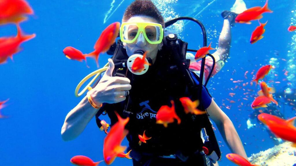 PROFESSIONAL DIVING FROM BOAT