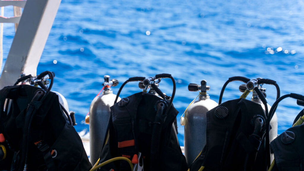 PROFESSIONAL DIVING FROM BOAT