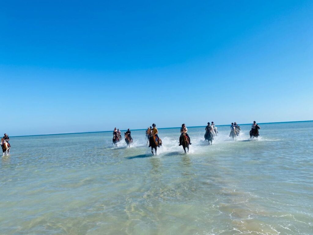 HORSE RIDE ON THE BEACH