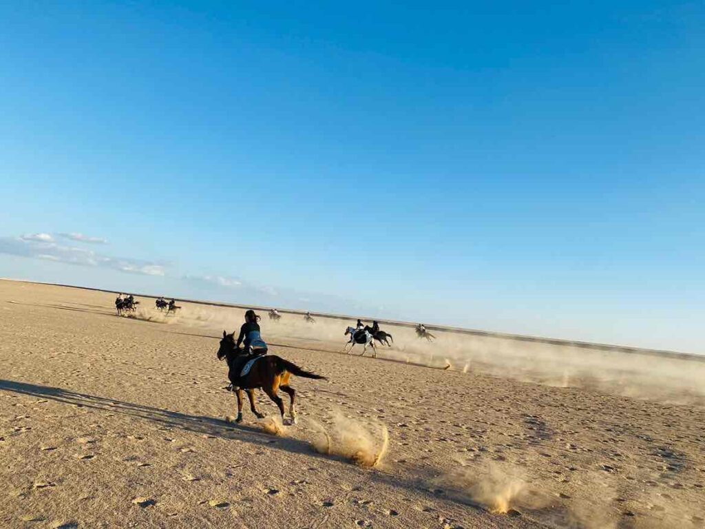 HORSE RIDE ON THE BEACH