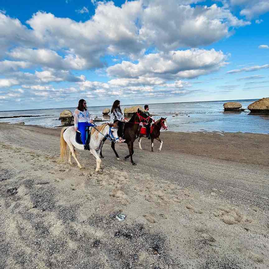 HORSE RIDE ON THE BEACH