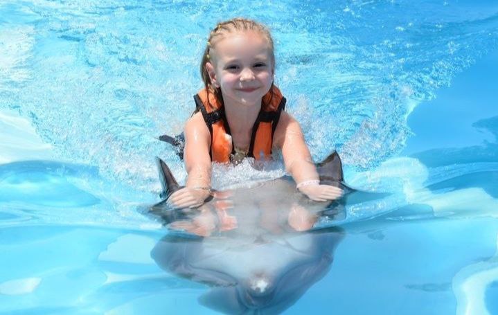 SWIMMING WITH DOLPHINS (10 min)