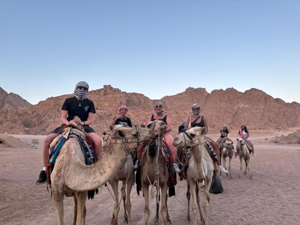 SAFARI CAMEL RIDE