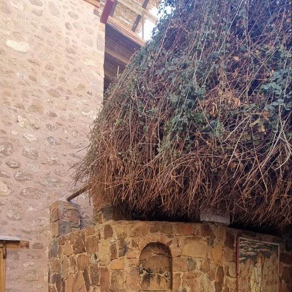 ST. CATHERINE'S MONASTERY