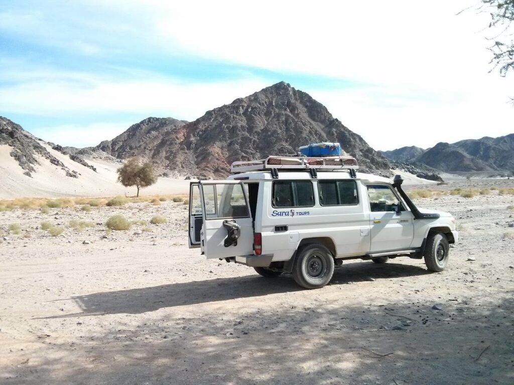 NATIONAL PARK ''VALLEY OF CAMELS''