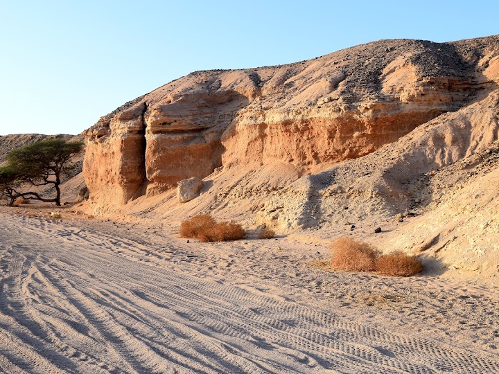 NATIONAL PARK ''VALLEY OF CAMELS''