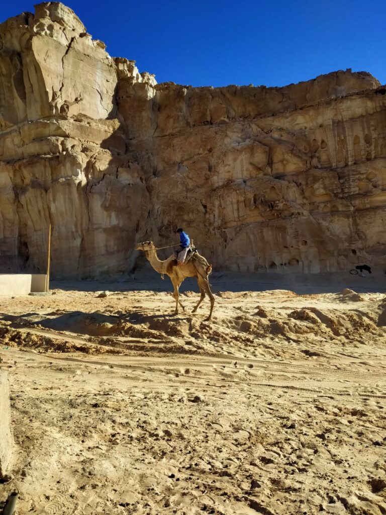 NATIONAL PARK ''VALLEY OF CAMELS''